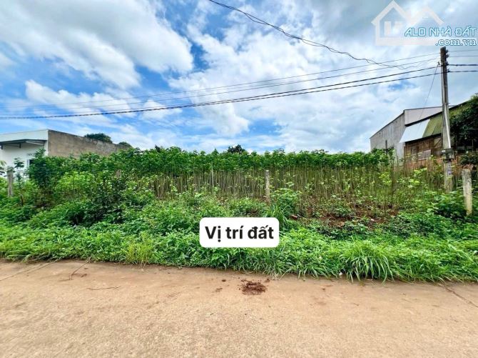 ✨ 5x24m (81m2 ONT). KDC hiện hữu, đầy đủ mọi tiện ích, chạm Tà Nung (Đà Lạt) 12Km - 599Tr - 3