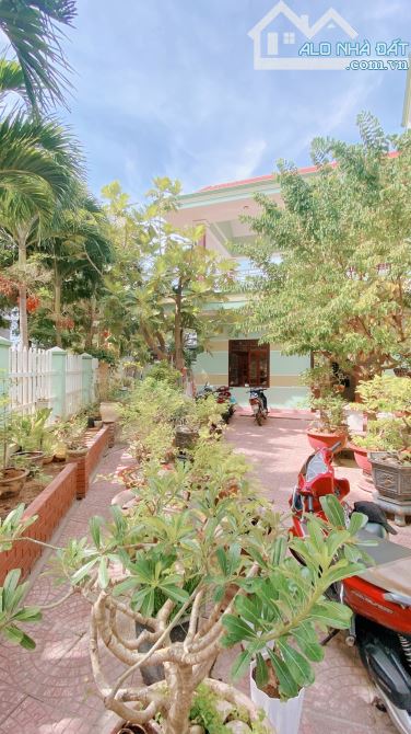 Bán Biệt thự lô Góc ngang 19m DT 283m2 Ấp Bắc ngay Non Nước - 4