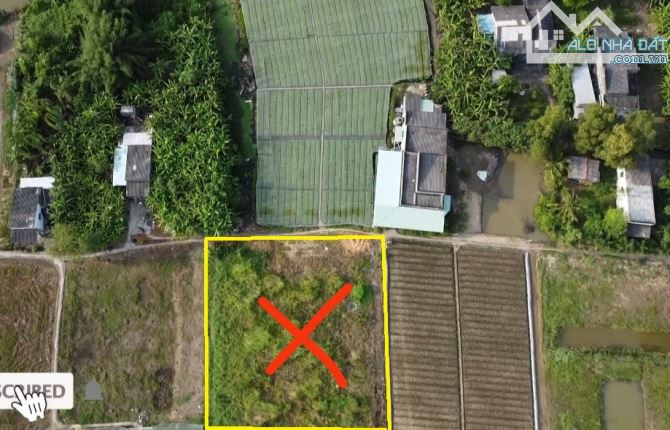 💎 Bán đất vườn (35 x 57m) đan xe máy xã Tân Đông gần đường Mạc Văn Thành - 4