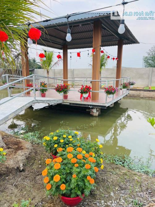 NHÀ VƯỜN CỰC ĐẸP CẠNH THỊ TRẤN TẦM VU, THỔ CƯ KHỦNG, CÁCH TP.TÂN AN CHỈ 10 PHÚT - 6