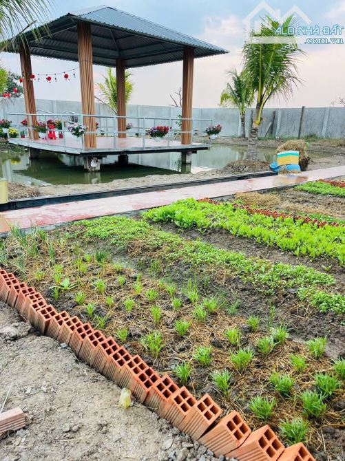 NHÀ VƯỜN CỰC ĐẸP CẠNH THỊ TRẤN TẦM VU, THỔ CƯ KHỦNG, CÁCH TP.TÂN AN CHỈ 10 PHÚT - 9
