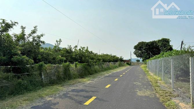 Bán đất Thị Trấn Phước Hải , diện tích 1336m2