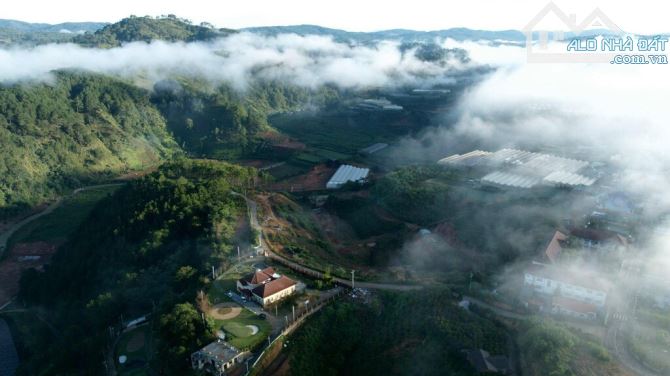 🏞⛺️🏯 TỔNG HỢP CÁC LÔ ĐẤT XÂY DỰNG- DIỆN TÍCH LỚN - THÍCH HỢP XÂY KHÁCH SẠN RESORT ĐÀ LẠT