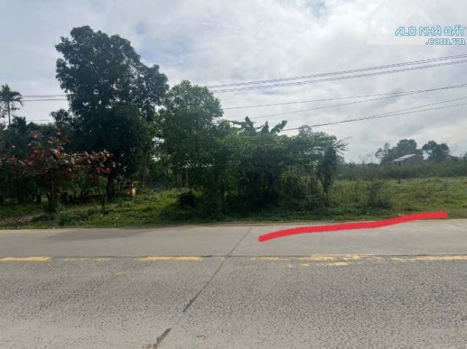 Bán đất mặt tiền DT609b thôn Phú Mỹ xã Đại Hiệp Huyện Đại Lộc Quảng Nam