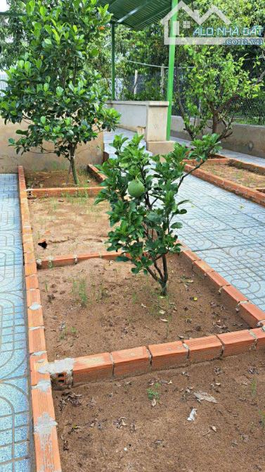 Bán nhà vườn xã Bình Mỹ Củ Chi, đường ôtô, 523m2, 15x35m, nhà vườn trồng nhiều cây ăn trái - 10