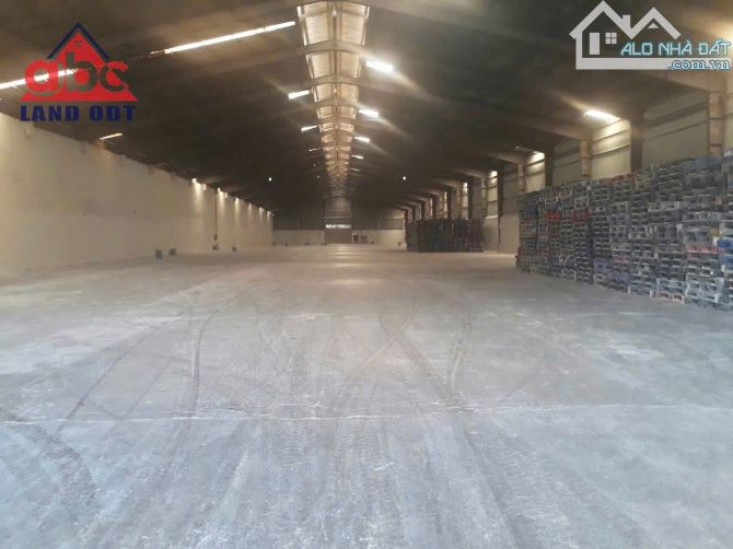 XT010 kho bãi cho thuê. Dịch vụ chuyên nghiệp. Kết cấu chuyên nghiệp - 1