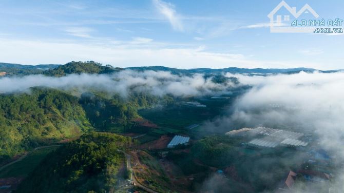 🏞⛺️🏯 TỔNG HỢP CÁC LÔ ĐẤT XÂY DỰNG- DIỆN TÍCH LỚN - THÍCH HỢP XÂY KHÁCH SẠN RESORT ĐÀ LẠT - 1