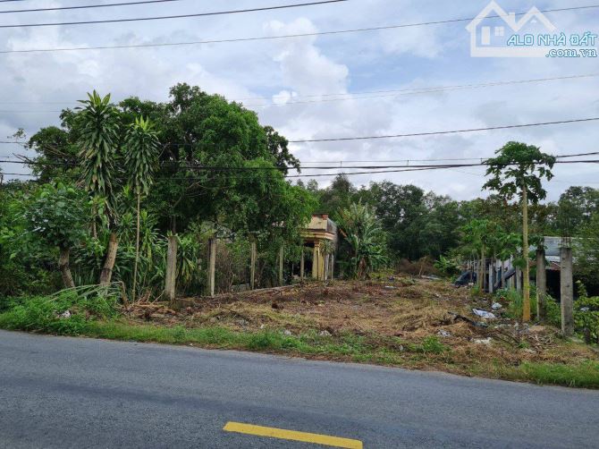 Bán 750m2 đất mặt tiền Đặng Công Bỉnh, đất thổ cư - 1
