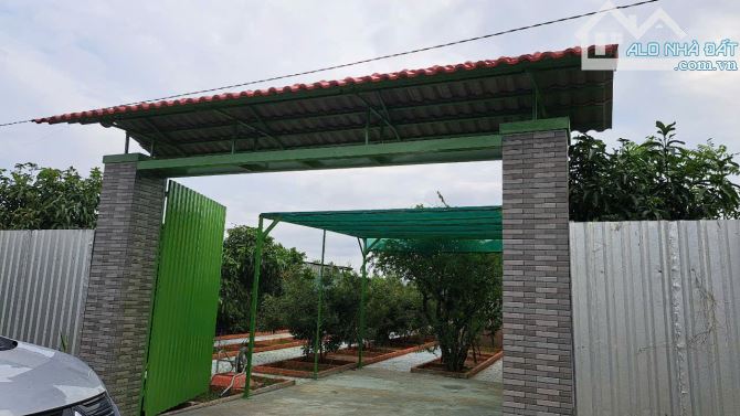 Bán nhà vườn xã Bình Mỹ Củ Chi, đường ôtô, 523m2, 15x35m, nhà vườn trồng nhiều cây ăn trái - 1