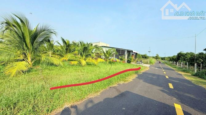 Bán đất Thị Trấn Phước Hải , diện tích 1336m2 - 2