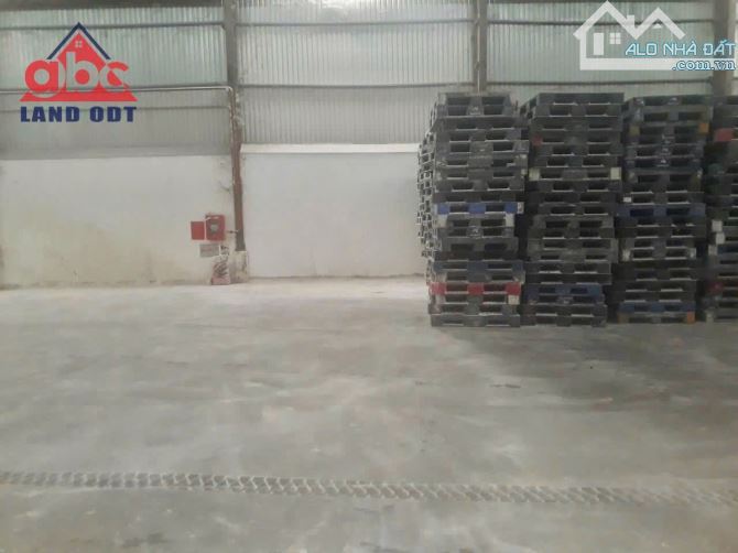 XT010 kho bãi cho thuê. Dịch vụ chuyên nghiệp. Kết cấu chuyên nghiệp - 2