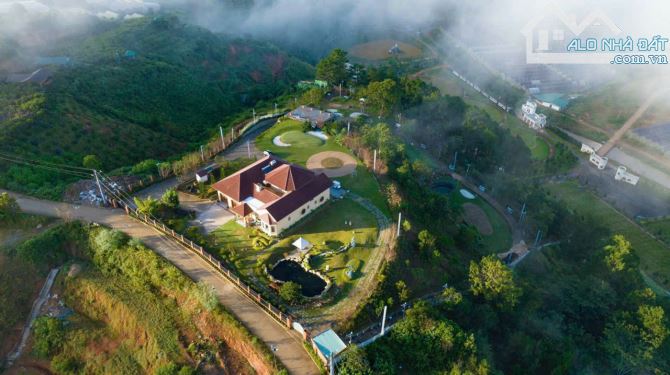 🏞⛺️🏯 TỔNG HỢP CÁC LÔ ĐẤT XÂY DỰNG- DIỆN TÍCH LỚN - THÍCH HỢP XÂY KHÁCH SẠN RESORT ĐÀ LẠT - 2