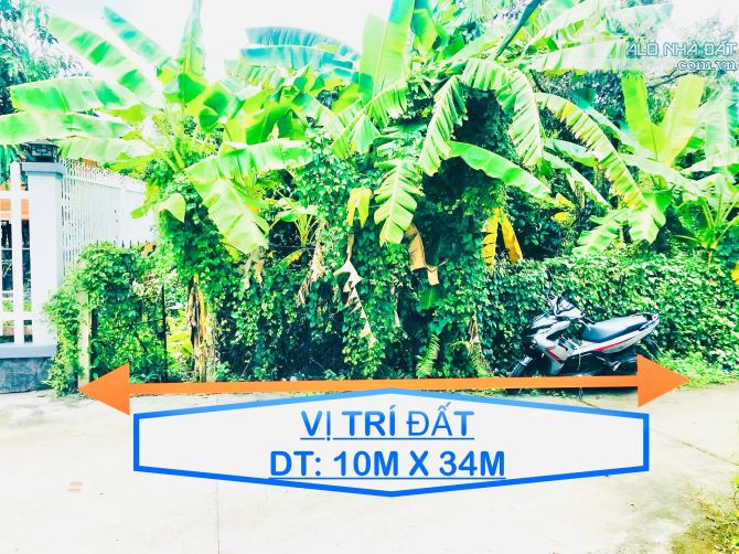 Đất Vườn DT: 10M X 34M P.An Thạnh Thuận An Bình Dương. - 2