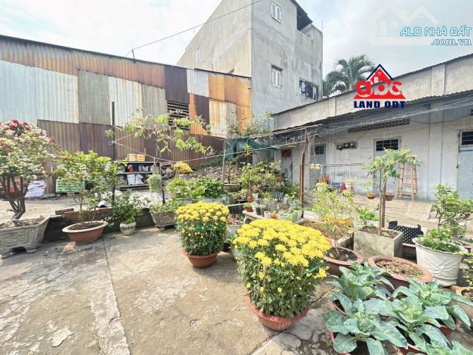 Bán nhà và dãy trọ tân hoà gần gx hoà bình 900m2 hàng hiếm giá rẻ đầu tư - 3