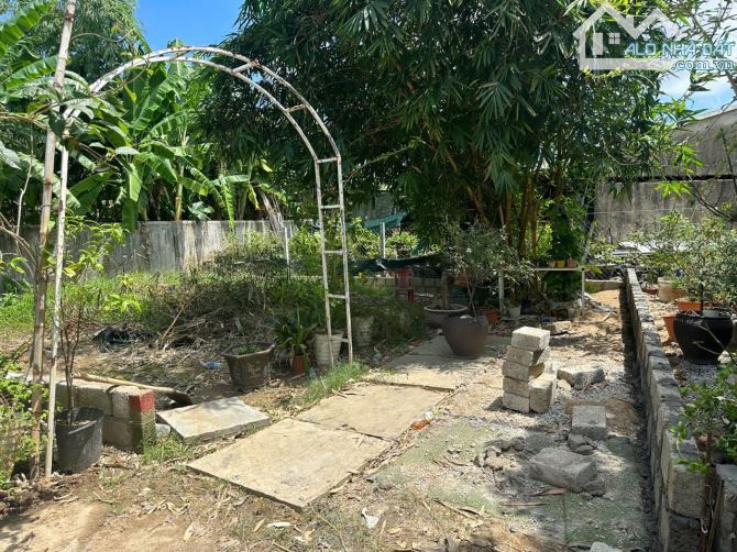 Đất Trung Tâm Kiệt Nguyễn Sinh Cung - Phường Vĩ Dạ An Cư Đầu Tư - 3