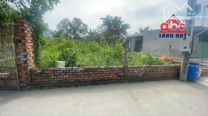 Cần Bán Lô Đất 2 mặt tiền P Tân Phong Tp Biên Hoà_Đồng Nai - 3