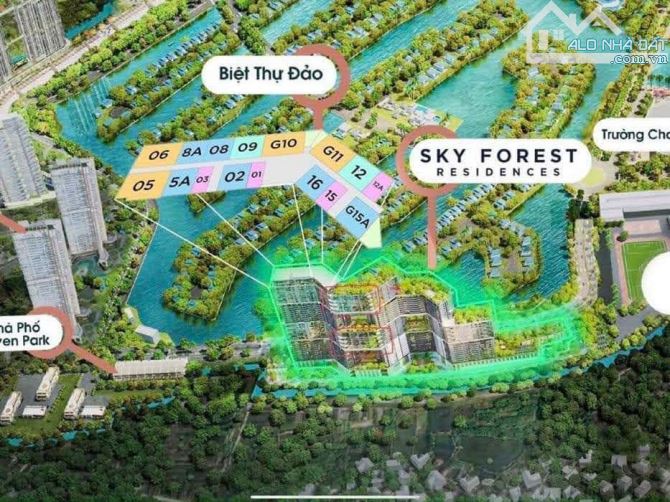 Chính chủ nhượng lại căn SF3-08A Sky Forest Ecopark tầng đẹp view Biệt thự đảo - 3