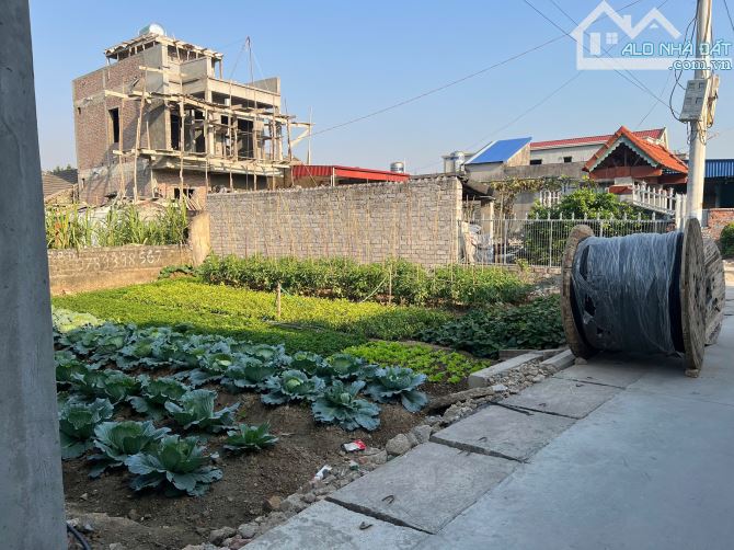 Chính chủ gửi bán lô góc tại Phường Quảng Thanh - Thủy Nguyên - 4