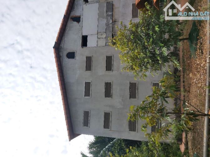Lô đất 2000m2 đường Đình Phong Phú. Quận 9 - 6