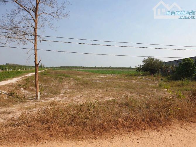 Bán 3000m2 đất ở dương minh châu giá 1,7 tỷ