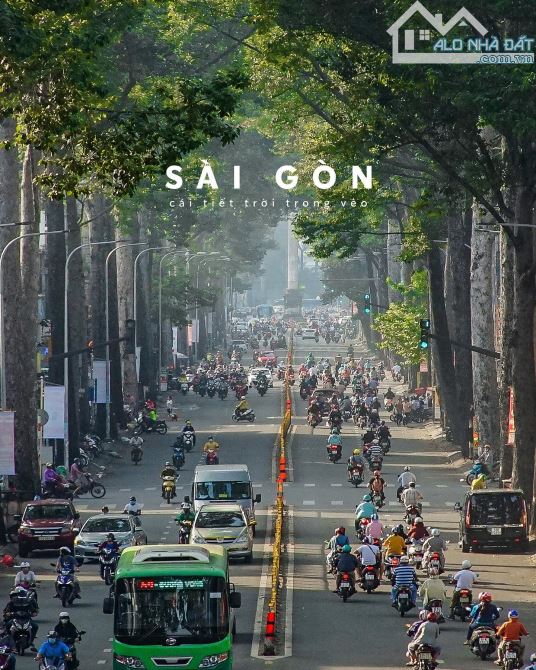 Mặt tiền thương hiệu chuyên VLXD, nội thất 4x17m,3 tầng, 20 tỷ,cực hiếm.Tô Hiến Thành,Q10