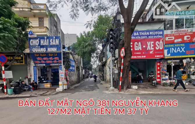 🏡 BÁN ĐẤT MẶT NGÕ 381 NGUYỄN KHANG, CẦU GIẤY – 127M² – MẶT TIỀN 7M – KINH DOANH 🏡