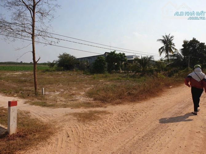 Bán 3000m2 đất ở dương minh châu giá 1,7 tỷ - 1