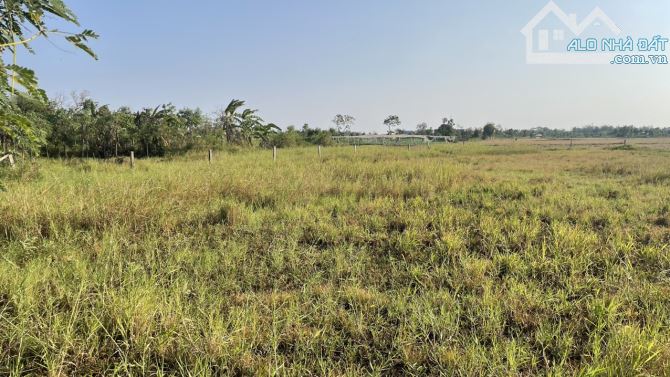 b.á.n nhanh 2.000m2 đất có 500m2 thổ cư giá 1,5 tỷ (hết đất) tại P Long Hòa, TP Gò Công,TG - 1