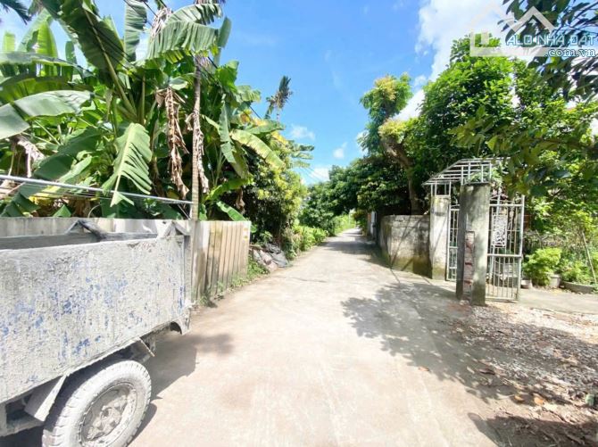 ❌❌❌bán lô đất 45,3m2 tại Tuyến 2 Nguyễn Trung Thành, Hùng Vương, Hồng Bàng giá 1,54 tỷ - 1