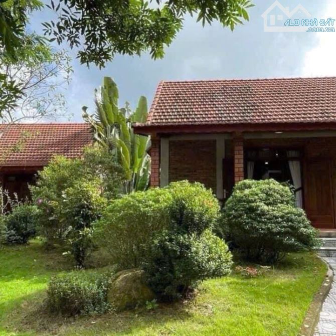 4000m2 của Resort trung tâm thành phố Huế gần làng Hương 500m, tp Huế chỉ 55 tỉ - 1