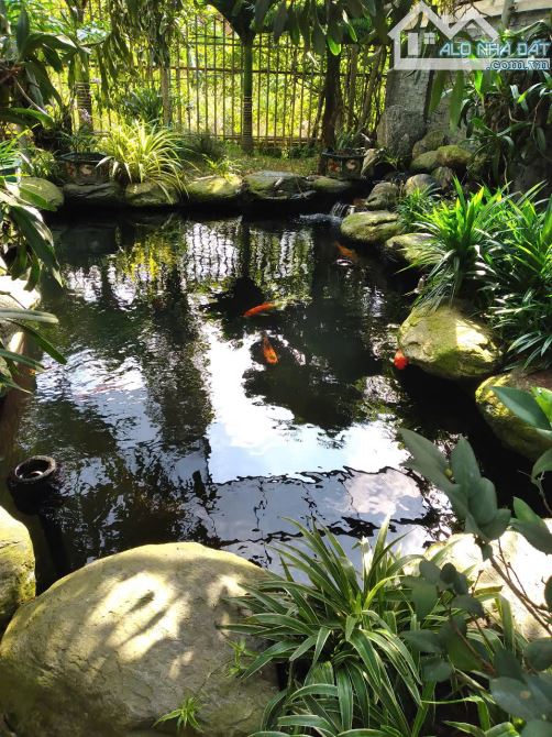 BÁN BIỆT THỰ VEN SÔNG VĨNH GIANG - 14