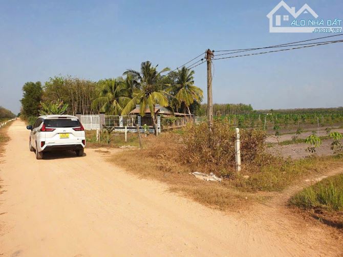 Bán 3000m2 đất ở dương minh châu giá 1,7 tỷ - 2