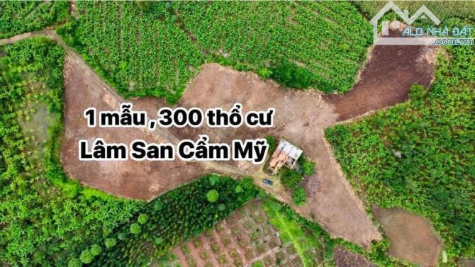 Vườn caffe con 1ha 300 thổ cư, có nhà xây thô 2 phòng ngủ - 2