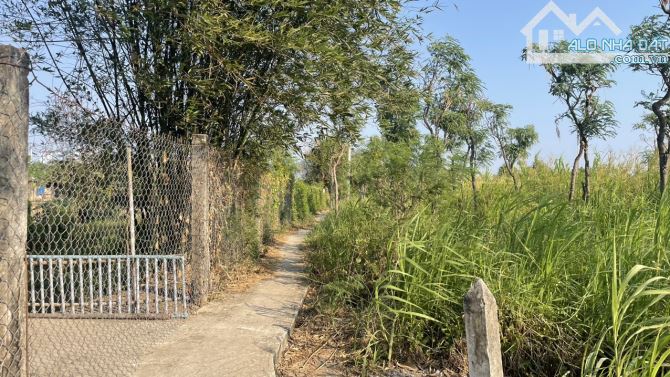 b.á.n nhanh 2.000m2 đất có 500m2 thổ cư giá 1,5 tỷ (hết đất) tại P Long Hòa, TP Gò Công,TG - 3