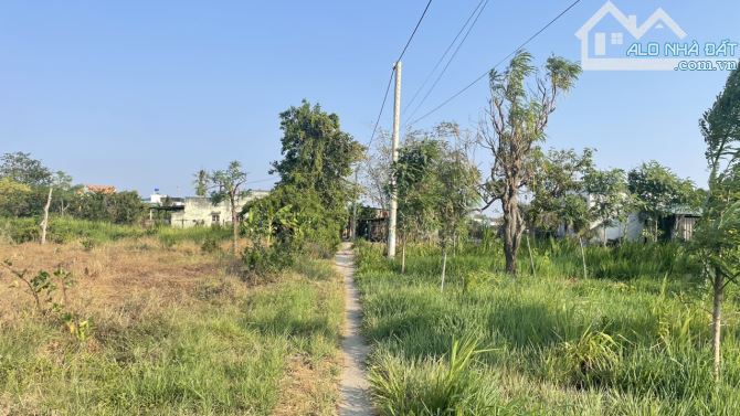 b.á.n nhanh 2.000m2 đất có 500m2 thổ cư giá 1,5 tỷ (hết đất) tại P Long Hòa, TP Gò Công,TG - 5