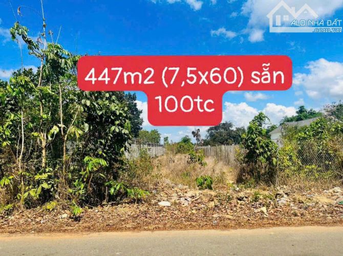 Phước Long Thọ,447m2-ngang7,5mx60m, 100thổ cư,đường Nguyễn Huệ, giá 1tyx