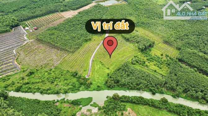 ✨ 1.5 Mẫu có 200M Mặt Tiền & 2.480m2 Đất Ở, tha hồ xây Nhà Xưởng hoặc Nhà Vườn... - 6.5 Tỷ