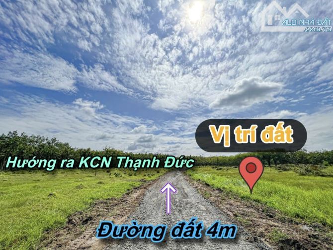 ✨ 1.5 Mẫu có 200M Mặt Tiền & 2.480m2 Đất Ở, tha hồ xây Nhà Xưởng hoặc Nhà Vườn... - 6.5 Tỷ - 10