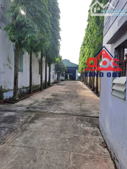 X006 Bán nhà xương 1063m2 thuộc xã Tây Hòa Huyện Trảng Bom giá rẻ - 1
