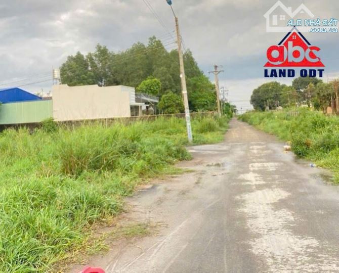 BÁN ĐẤT MẶT TIỀN ĐƯỜNG LỚN – BÌNH MINH, TRẢNG BOM - 1