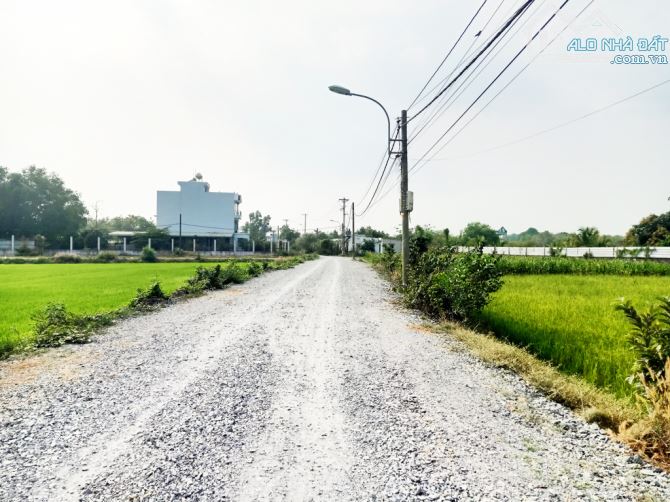 Bán nhà 2/ đường Trần Thị Chọn - 268m2 - 12x24 - 50m2 thổ cư - xã Trung Lập Hạ - Củ Chi - 1
