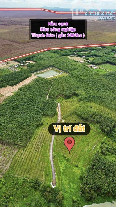 ✨ 1.5 Mẫu có 200M Mặt Tiền & 2.480m2 Đất Ở, tha hồ xây Nhà Xưởng hoặc Nhà Vườn... - 6.5 Tỷ - 1