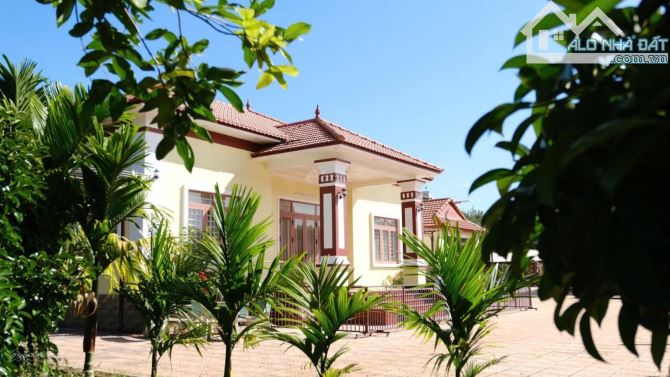 Chủ bán trang trại nghỉ dưỡng diện tích 2,8ha kinh doanh cực kỳ tốt - 2