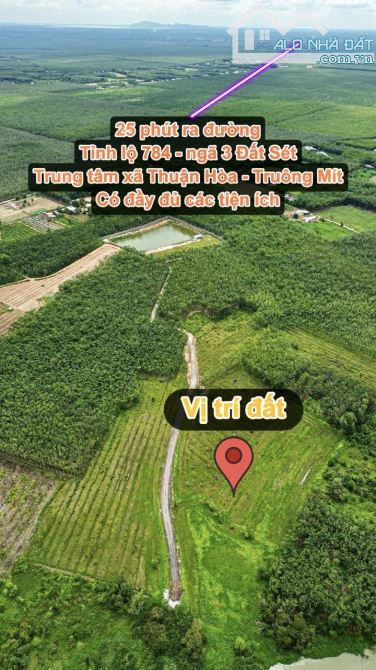 ✨ 1.5 Mẫu có 200M Mặt Tiền & 2.480m2 Đất Ở, tha hồ xây Nhà Xưởng hoặc Nhà Vườn... - 6.5 Tỷ - 2