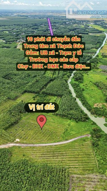 ✨ 1.5 Mẫu có 200M Mặt Tiền & 2.480m2 Đất Ở, tha hồ xây Nhà Xưởng hoặc Nhà Vườn... - 6.5 Tỷ - 3