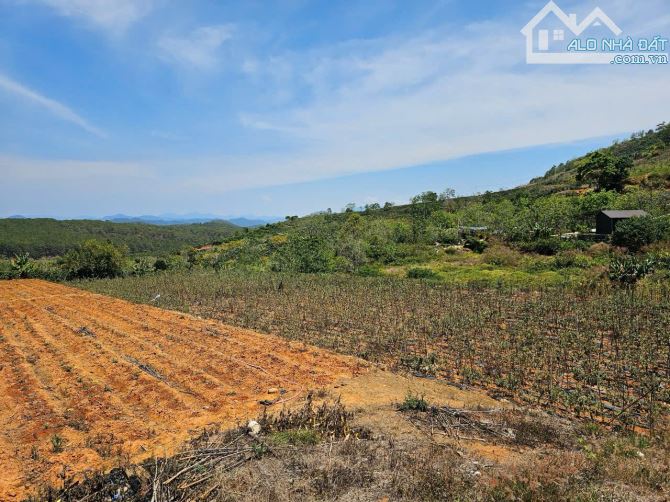 7000m2 đất nn view săn mây, cách uỷ ban Xuân Trường 300m, đất bằng phẳng, đường 4m - 4