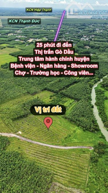✨ 1.5 Mẫu có 200M Mặt Tiền & 2.480m2 Đất Ở, tha hồ xây Nhà Xưởng hoặc Nhà Vườn... - 6.5 Tỷ - 4