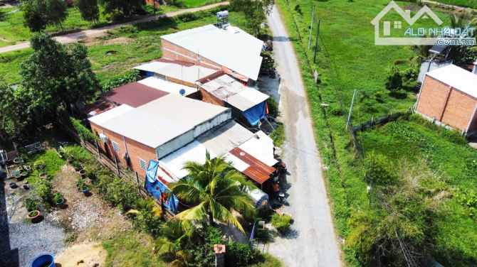 Bán nhà 2/ đường Trần Thị Chọn - 268m2 - 12x24 - 50m2 thổ cư - xã Trung Lập Hạ - Củ Chi - 5
