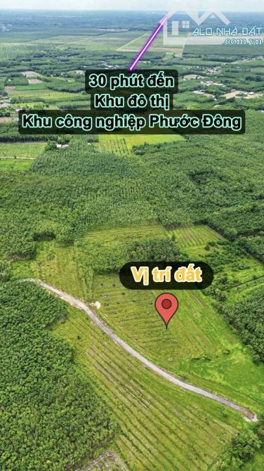 ✨ 1.5 Mẫu có 200M Mặt Tiền & 2.480m2 Đất Ở, tha hồ xây Nhà Xưởng hoặc Nhà Vườn... - 6.5 Tỷ - 5
