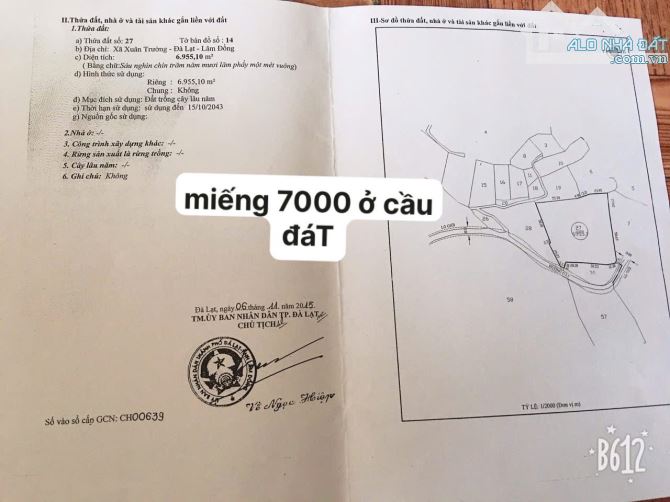 7000m2 đất nn view săn mây, cách uỷ ban Xuân Trường 300m, đất bằng phẳng, đường 4m - 6